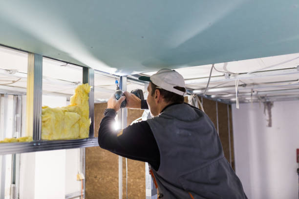 Best DIY Insulation Kits and Guidance in Boulder City, NV