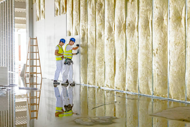 Trusted Boulder City, NV Insulation Contractor Experts
